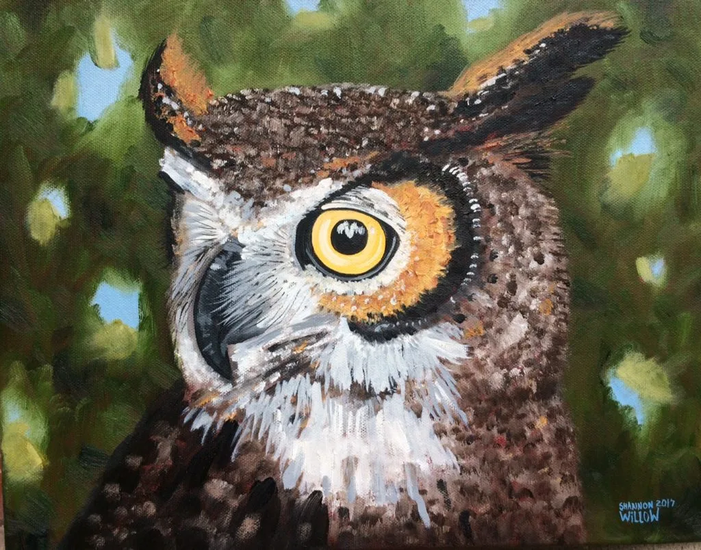 shannonwillowart-owl