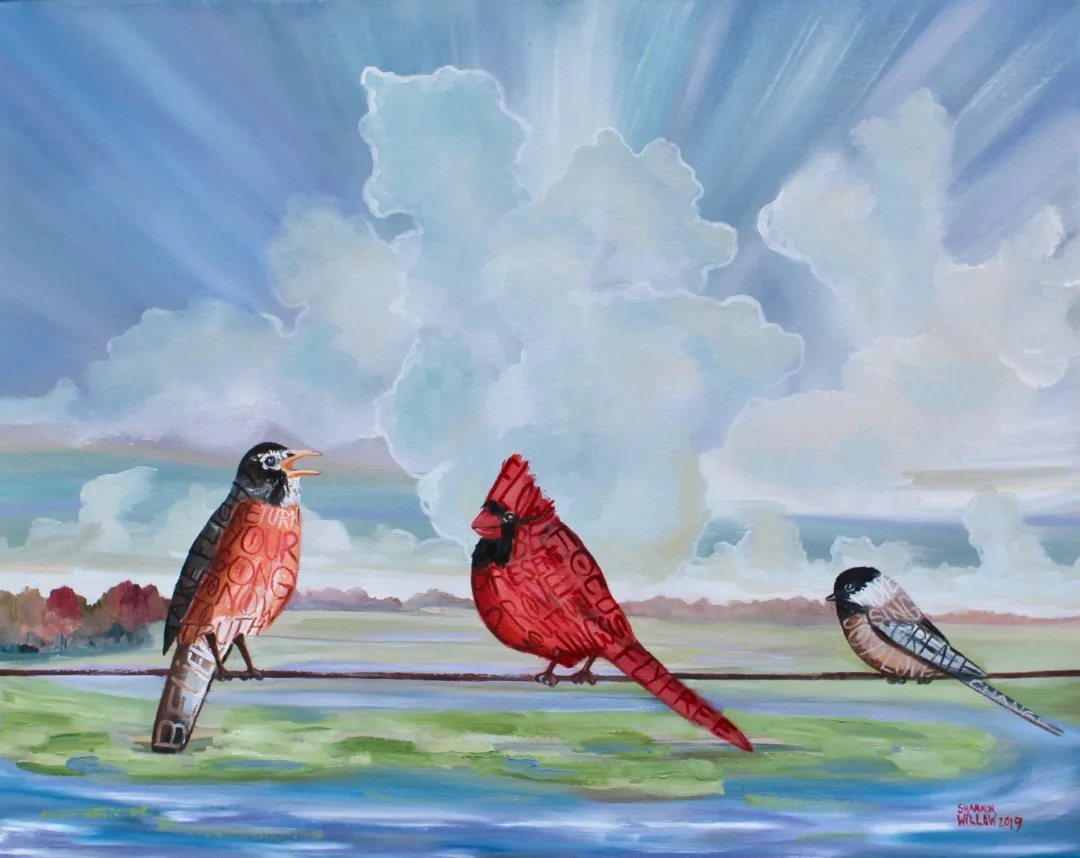 ShannonWillow_birds