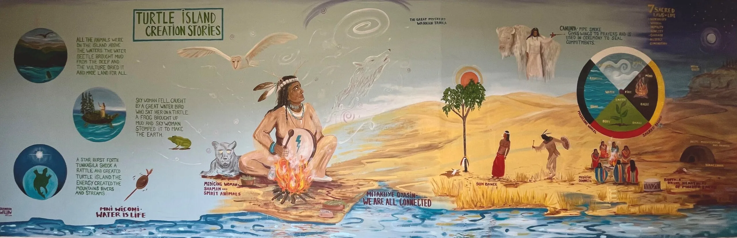shannonwillowart-turtleisland